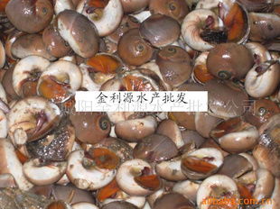 青島城陽(yáng)金利源水產(chǎn)批發(fā)公司——水產(chǎn)品優(yōu)質(zhì)供應(yīng)與市場(chǎng)定位