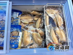 海南水產(chǎn)品現(xiàn)狀解讀 依賴出口、內(nèi)銷滯后，亟待轉(zhuǎn)型升級