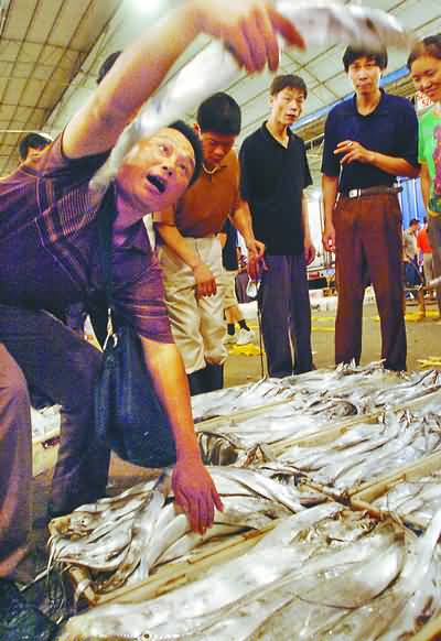 透骨新鮮第一網(wǎng)魚上市，漁貨市場迎來旺季